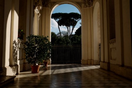 photo of green leafed plants inside hallway photo