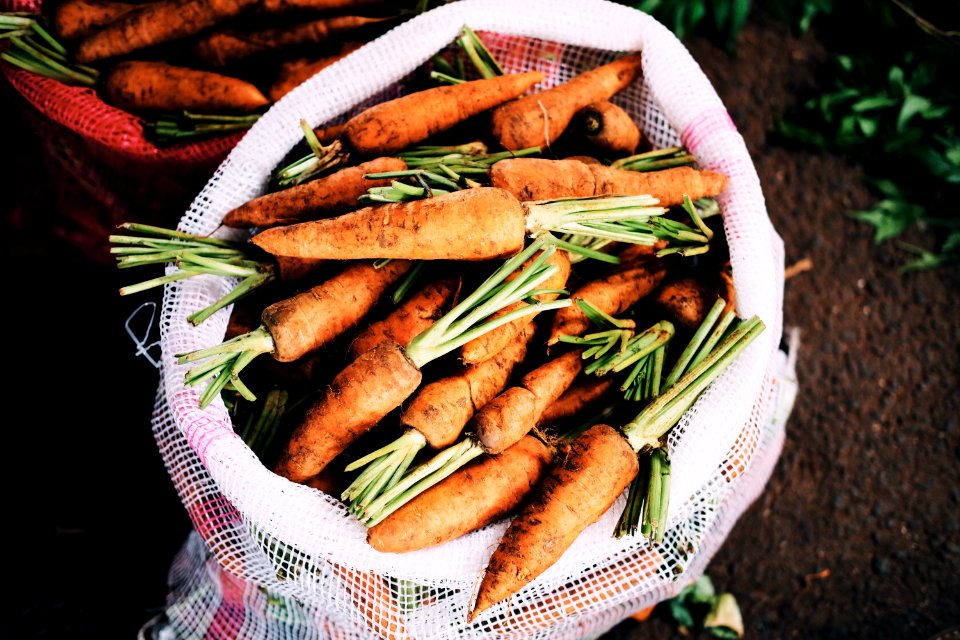 ripe carrots inside white net sack
