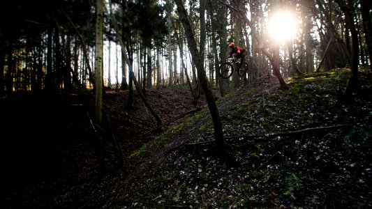 time lapse photography of forest