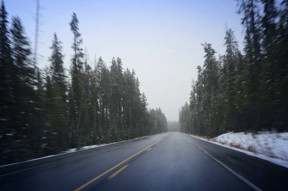 Travel, Trees, Road