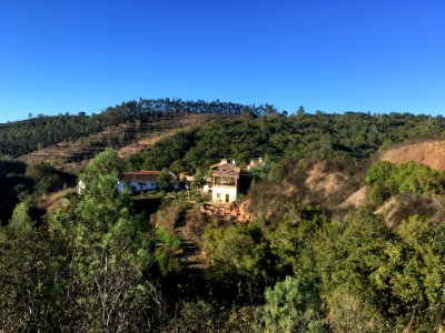 Orada, S.teot nio, Portugal