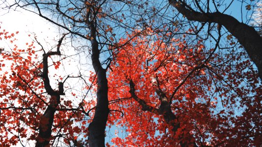 Salt lake city, United states, Fall photo