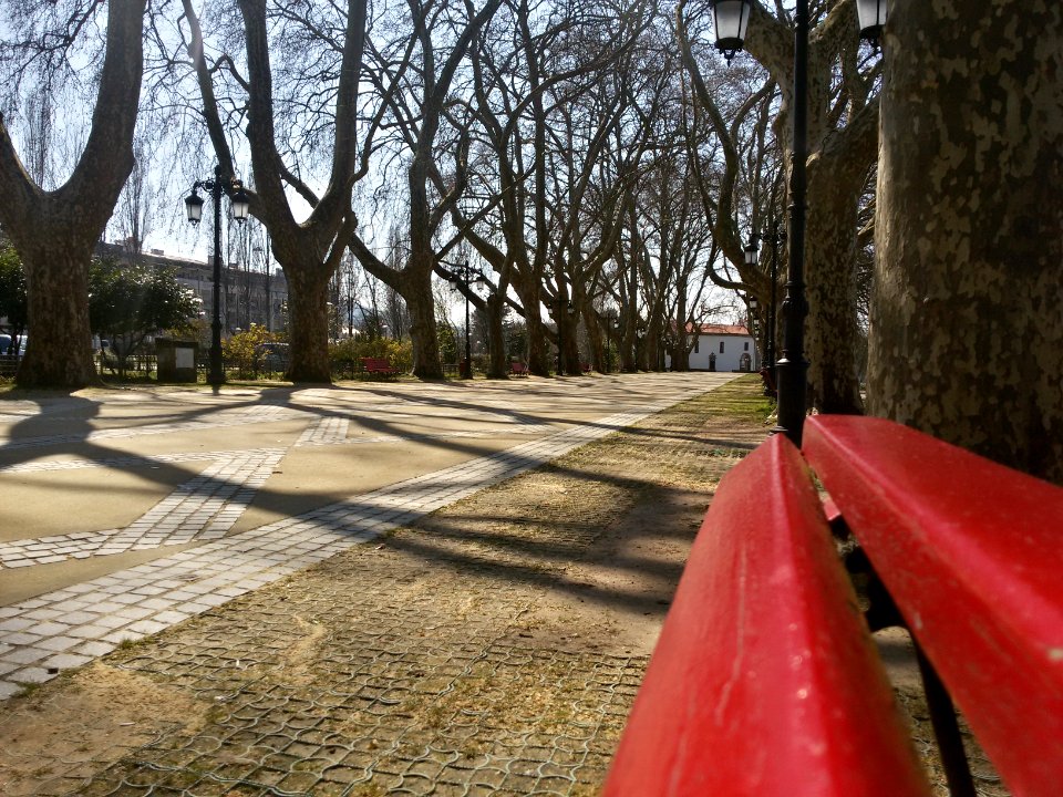 Ponte de lima, Portugal, Nature