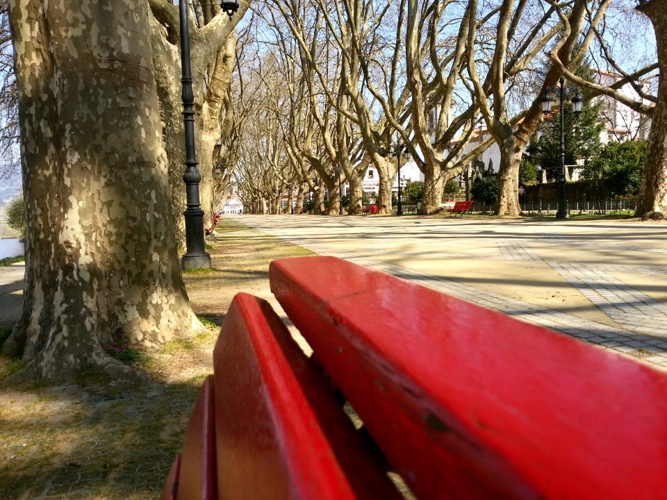Ponte de lima, Portugal, Nature