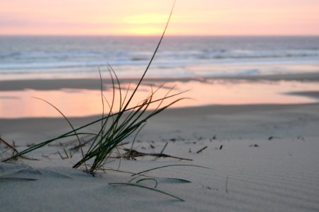 Biscarrosse plage, Biscarrosse, France photo