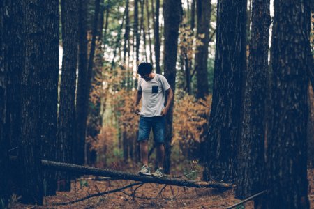 man standing on tree branch photo