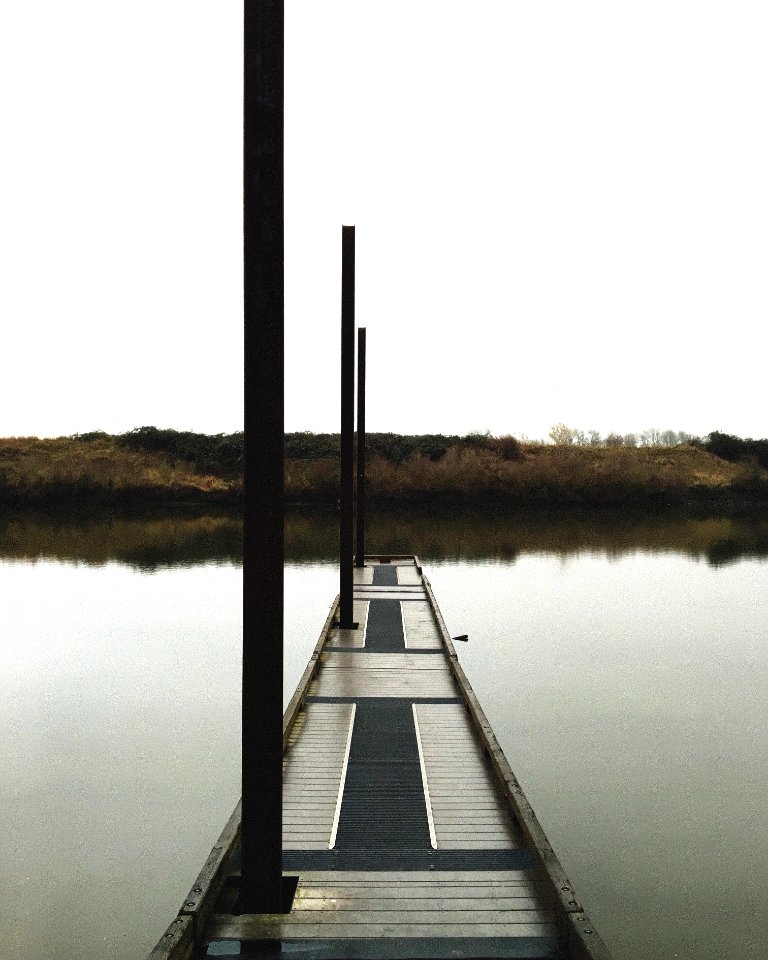 Trees, Reflection, River