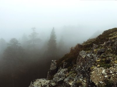 Sturgeon rock, United states, Pnw