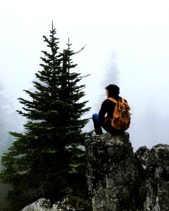person sitting on rock facing tree photo