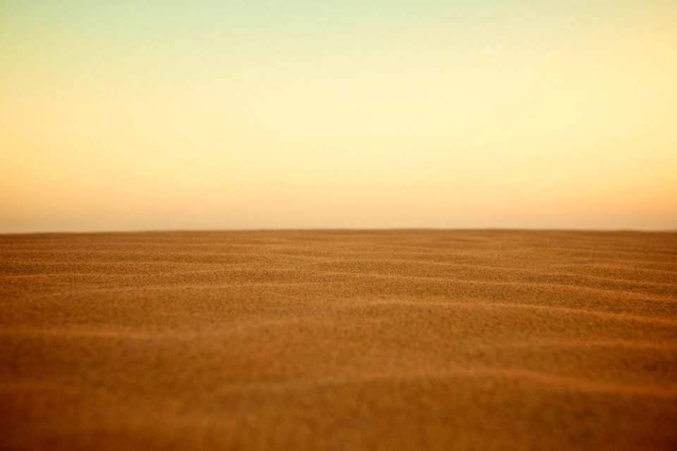 selective focus photography of desert