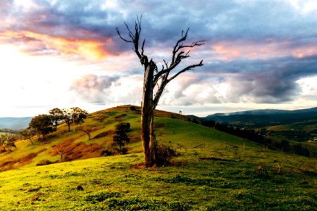 Yarra valley, Tim mccartney, Melbourne
