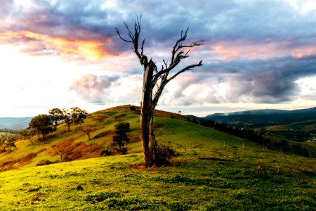 Yarra valley, Tim mccartney, Melbourne photo