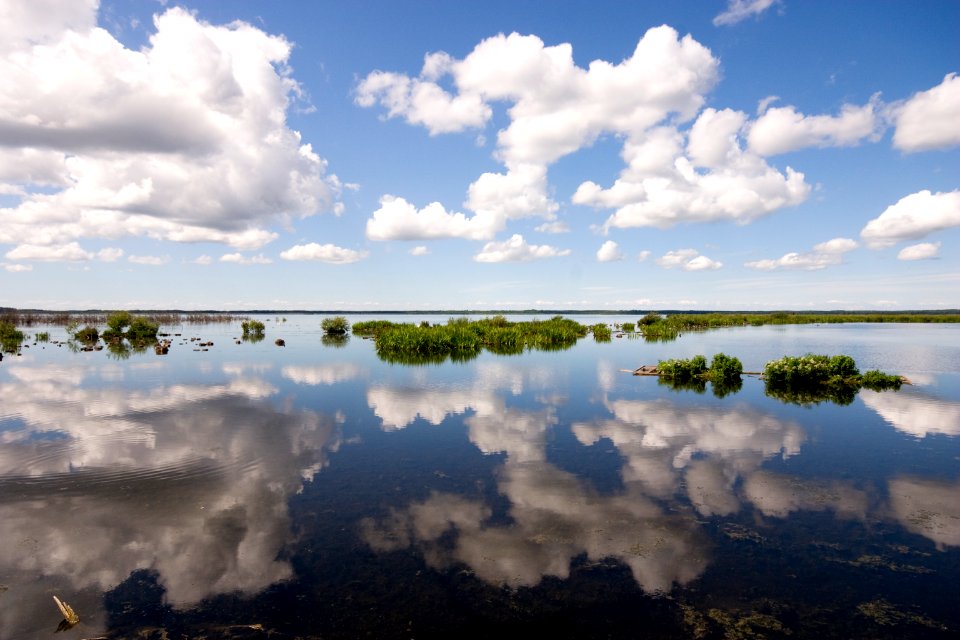 Sweden, Reflections, Birds