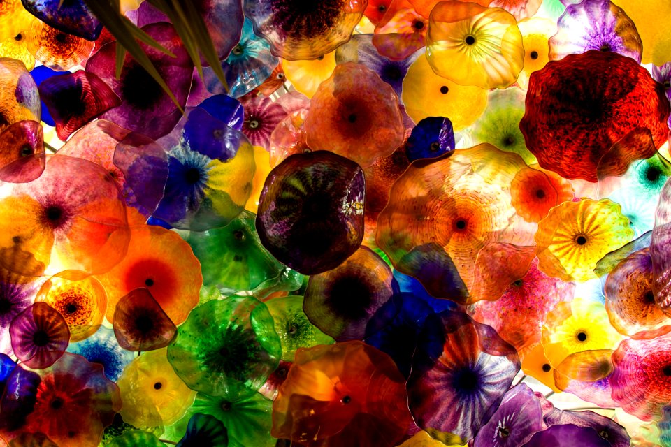 Las vegas, Lamps, Jellyfish