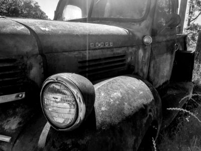 Florence, United states, Headlight