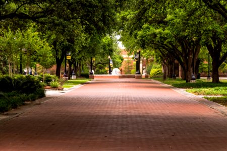 The university of southern mississippi, Hattiesburg, United states photo