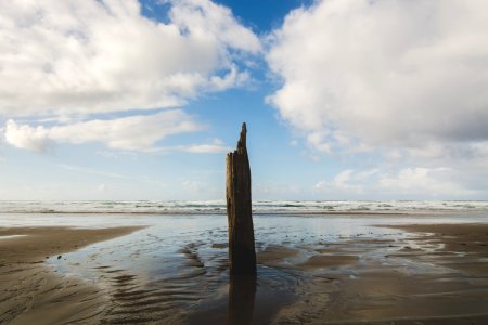 brown tree log standing on gray sand under cloudy sky photo