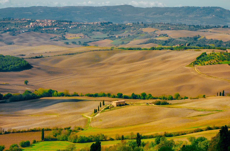 brown field photo