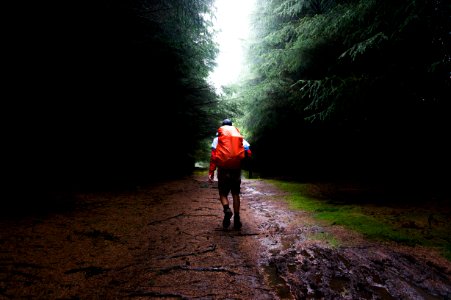 man with red bag in the middle of forest