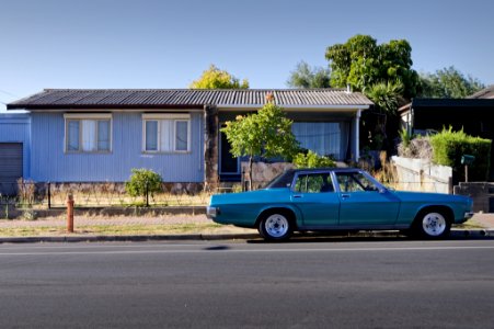 Australia, Adelaide, Teal