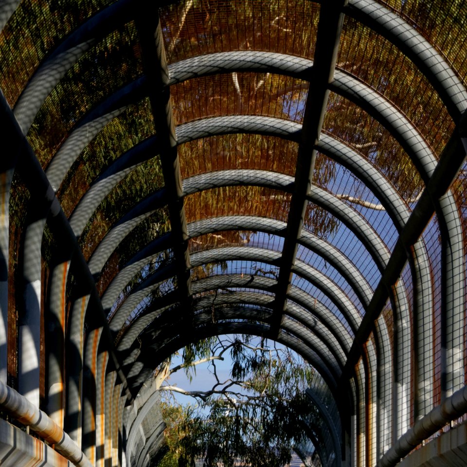 Campbelltown, Australia, Adelaide