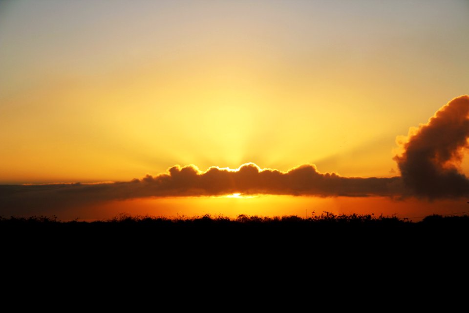 Camelford, United kingdom, Field