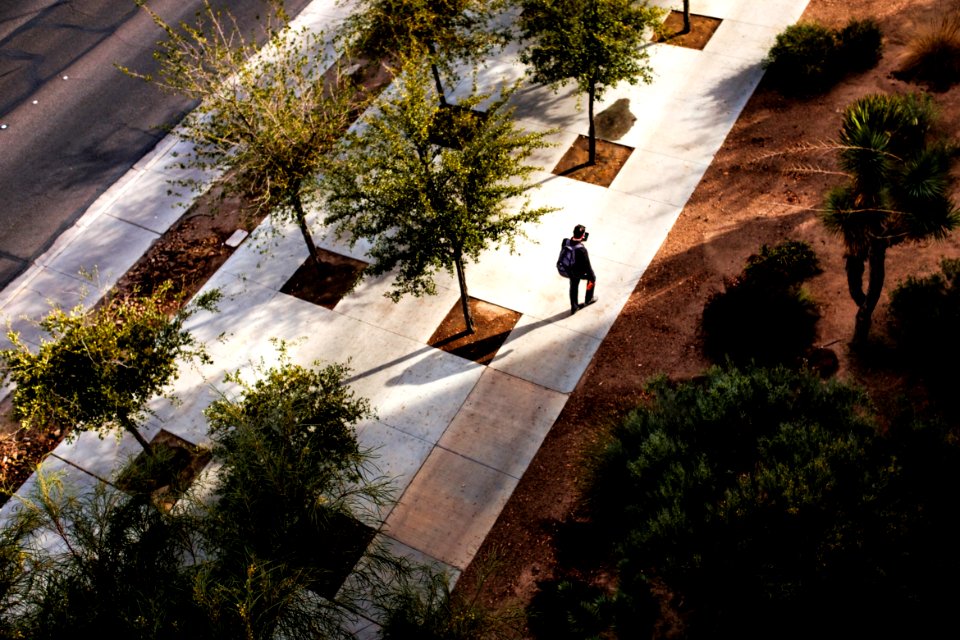birds eye view of man walking surrounded by trees