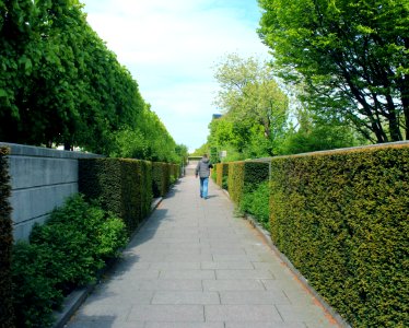 Copenhagen, Denmark, Person