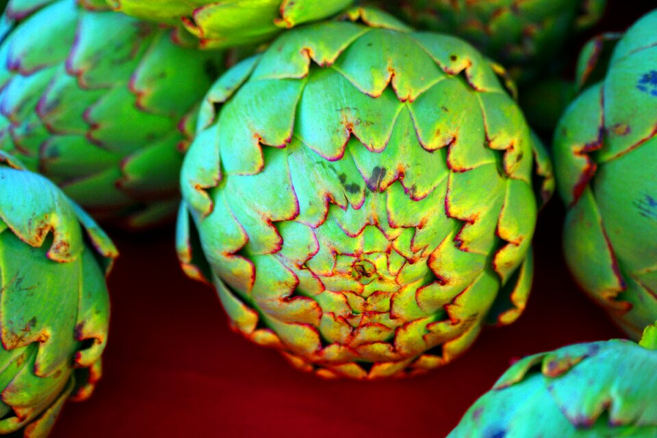 Vegetable healthy fresh