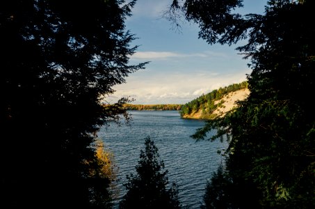 Lumbermans monument, Michigan, Forest