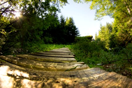 Pastel chalet, Romania, Sat d lghiu