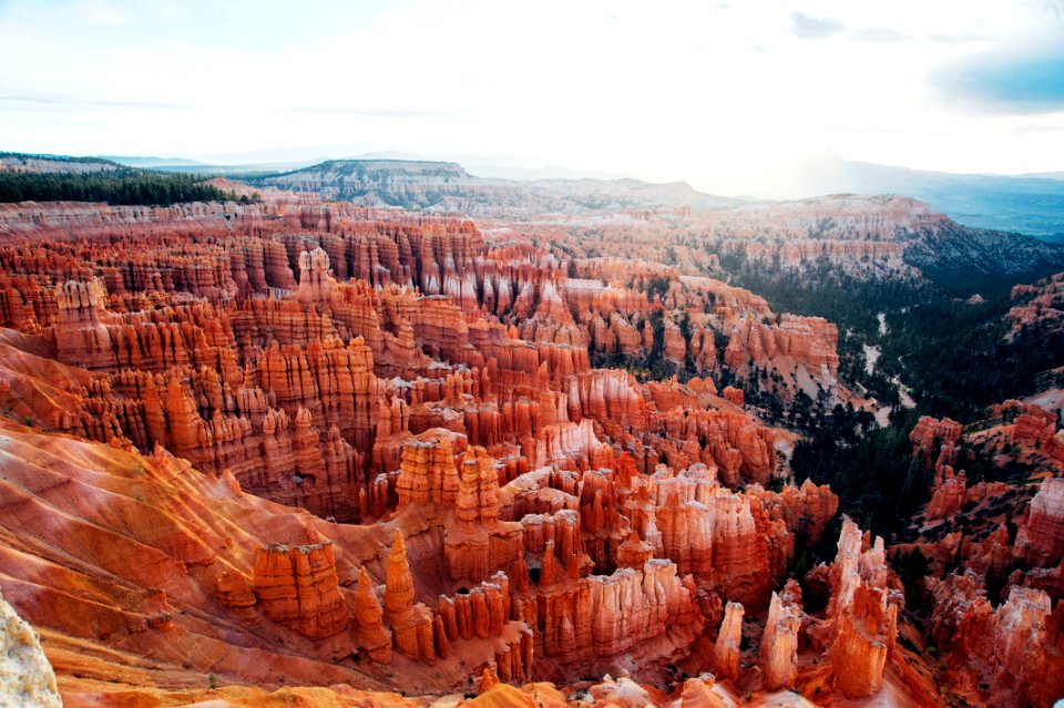 aerial photo of brown canyon