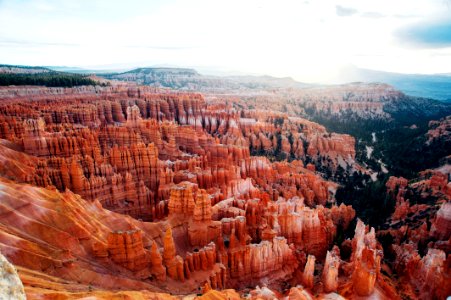 aerial photo of brown canyon