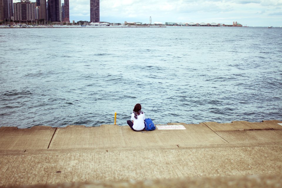 Shedd aquarium, Chicago, United states