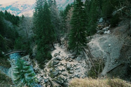 Scape, Mountains, Trees