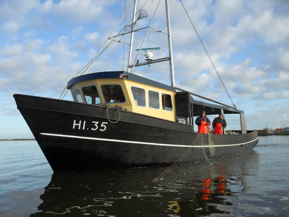 Ijsselmeer visser fish