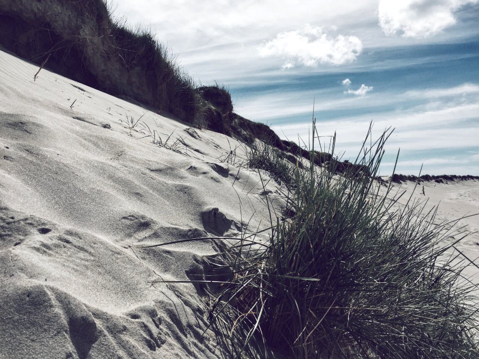 Roundstone, Irel, Nature