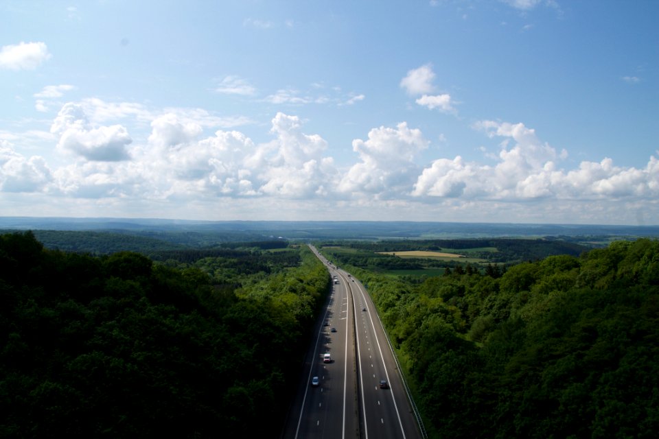 aerial photography of roads surrounded by trees