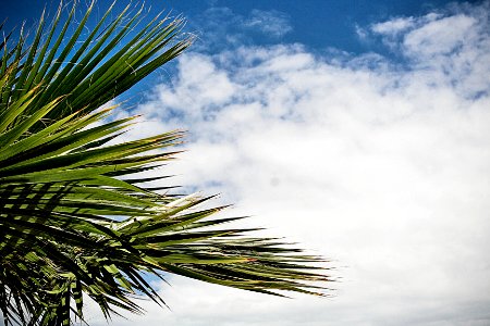 Las palmas de gran canaria, Spain, Heaven