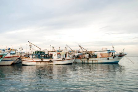 white fishing boars on body of water photo