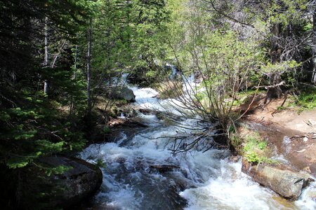 Colorado rocky mountain stream photo