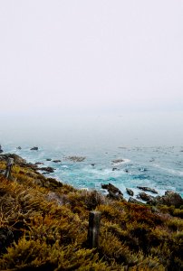 green grass field on edge of ocean