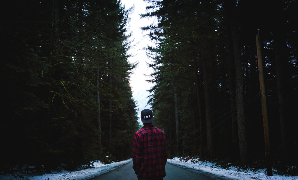 person in plaid sport shirt standing on asphalt road between trees