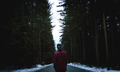 person in plaid sport shirt standing on asphalt road between trees photo