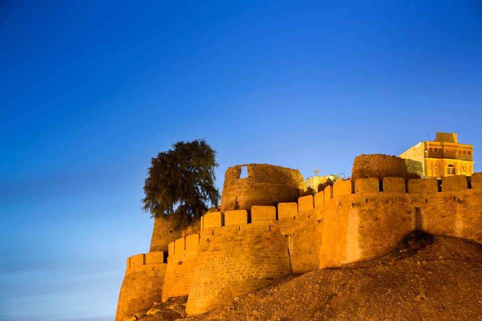 brown concrete castle near tree