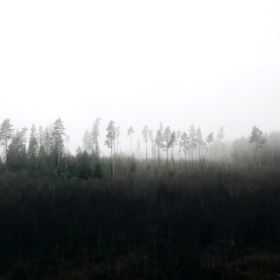 Eneryda, Kronoberg county, Sweden
