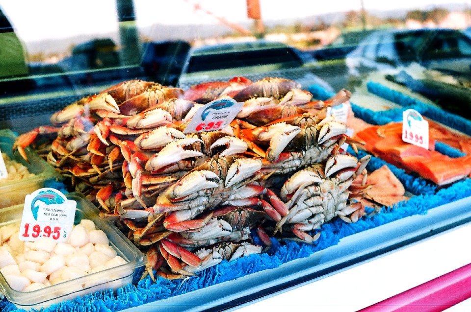 pile of edible crabs