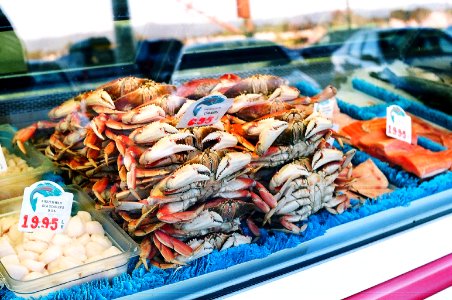 pile of edible crabs photo