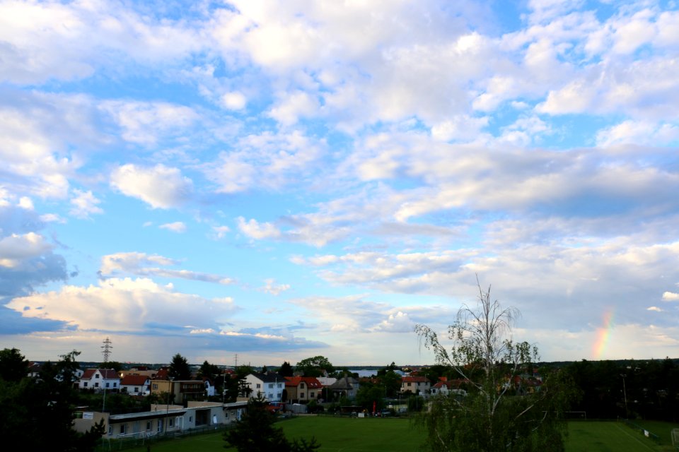 Dube, Prague, Czech republic