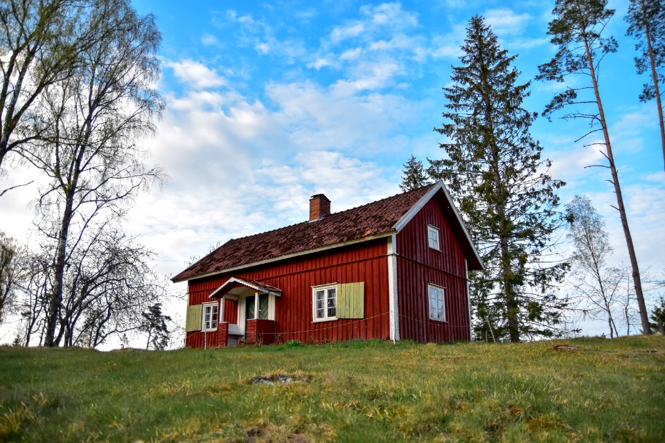 Kymbo, Sweden, Forest